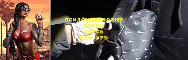 соль ск Коряжма