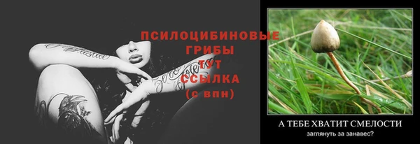 ALPHA PVP Александровское