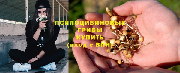 кристаллы Костерёво