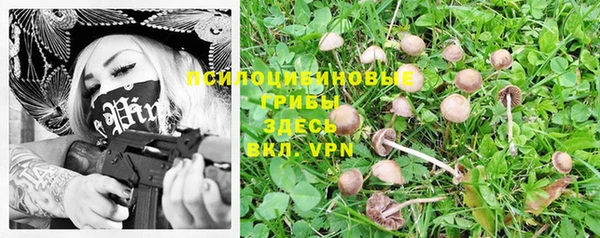 гашишное масло Краснослободск