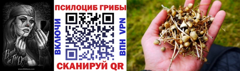 ОМГ ОМГ маркетплейс  что такое   Новочебоксарск  Псилоцибиновые грибы MAGIC MUSHROOMS 
